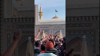 Pakistani pilgrims of Imam Reza  a.s mourning on the martyrdom anniversary of Lady Fatima s.a