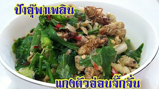 แกงตัวอ่อนจั๊กจั่น | อาหารอีสานพื้นบ้าน | ป้าอุ๊พาเพลิน