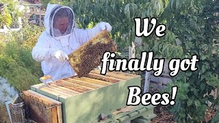 We FINALLY got Bees, and what's up with the name change. 🖖