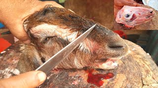 Incredible Goat Head Cutting & Selling Shop at Puran Dhaka | Bangladeshi Goat Head Cutting Skills