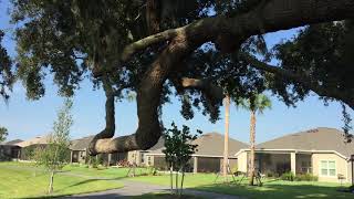 The Villages, Florida near Riverbend rec Center and Corbin Trail