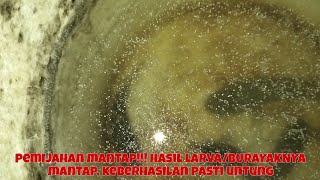 PEMIJAHAN PAS/MANTAP/TEPAT, KEBERHASILAN PASTI DI DAPAT!!!