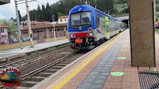 5 TERRE EXPRESS A LEVANTO - VIVALTO CON 464