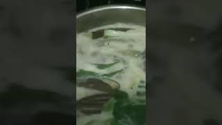 #satisfying #sound #viral #shortvideo #ytshorts #asmr #cooking #soundcloud #ginataangtilapia #yummy