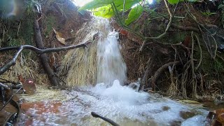 Projeto Água Para o Futuro garante proteção de 650 mananciais em MT