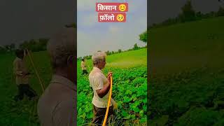 दवाई छिडकाव 😊 Follow 🙏  #shorts #shortfeed #kishanlife #villagelife #farmerslife #farming #trending