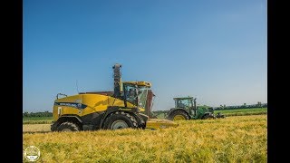 GPS häckseln // New Holland FR600 / Krone Big X 850 / Agro-Service Luckau GmbH , LU: Dietel