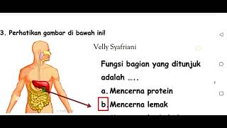 KAMU HARUS PELAJARI INI!!! SOAL PRETEST PPG PGSD