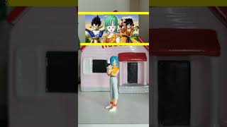 La pareja de Bulma y Vegeta