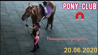 Насыщенная тренировка: ⭕️вольты / 📢осёл / 🤝знакомство с мамой / 🐎понесла галопом