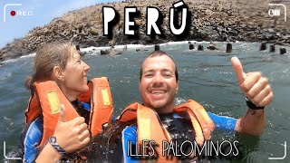 PERÚ | Lima , illes Palomino