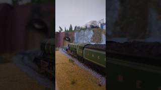 A not so flying FlyingScotsman takes passengers around the waterfall mine line #train #oogauge