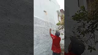 getting paint on wall #shorts #Painting #Paintingtutorial