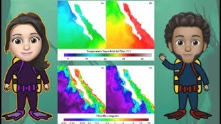 Descripción de variables oceanográficas a través de imágenes de satélite