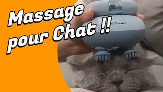 Découvrez le Massage pour tête de chat !!