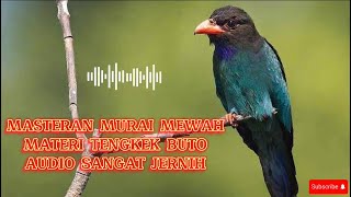 MASTERAN TENGKEK BUTO UNTUK MURAI BATU AUDIO SANGAT JERNIH #masteranburung #tengkekbuto #muraibatu