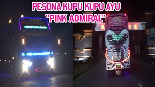 Pesona Bus KUPU KUPU AYU "PINK ADMIRAL"