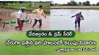 వేదజల్లడం లేదా డ్రమ్ సీడెర్ || నేరుగా విత్తినపొలంలో కలుపునివారణ || weed control in direct paddy rice