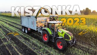 KUKURYDZA NA KISZONKĘ 2023! ☆ UR DROZDA ☆ CLAAS JAGUAR 950! ☆ CLAAS AXION 810 ☆ 5 ODWOZÓW! ☆ AW ™