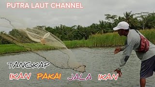 Jala ikan di sawah auto lumayan progres nya.