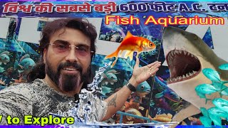 NSP Mela Pitampura Mela# Fish TunnelAquarium#delhimela2024​ #fishaquarium​#underwaterfishtunnel​