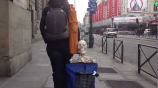 Parisian Girl and her Skinny Friend