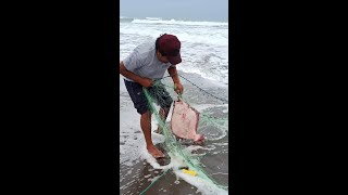 .este pescador saca su red y no se percató de llegar a pescar un pescado gigante