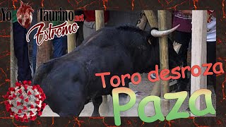 🤳🏼ASÍ se REVIENTA una PLAZA de PALOS ❗❗❗❗❗TOROS BRAVOS