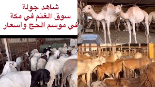 سوق الغنم شاهد اليوم جولة في حراج و حلقة الأغنام في مكة المكرمة