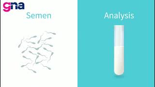 Understanding Fluctuating Semen Count: Exploring Solutions for Successful Pregnancy