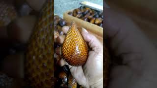 Salak Pondoh Banjarnegara Promo Hari ini #shorts