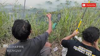 mancing udang batu