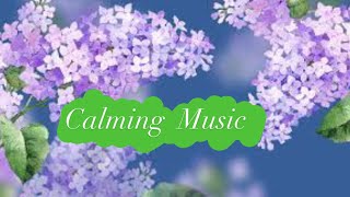 Calming music