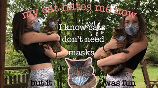 DIY face mask for you and your cat - my cat hates me now-I know cats don't need masks but it was fun