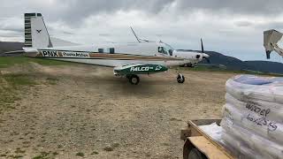 flying on kale seed