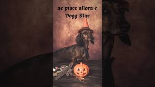 Halloween da Cani...si può