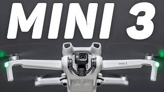 DJI Mini 3 Review - Budget Drones Have Gotten GREAT