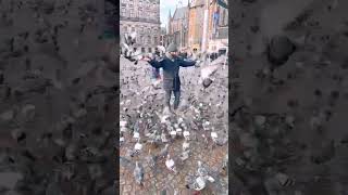 Ámsterdam #pajaros#muyagradable #short#vedio#virel#