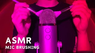 ASMR | Mic Brushing - Brain Massage for Sleep & Tingles 💤 (No Talking)