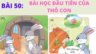 [Kể chuyện lớp 1] Bài 50: Bài học đầu tiên của thỏ con | Sách Kết nối tri thức với cuộc sống.