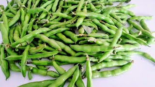 Broad Beans recipe//Kerala style broad beans curry