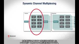 Microchip DCM (Dynamic Channel Multiplexing)の紹介