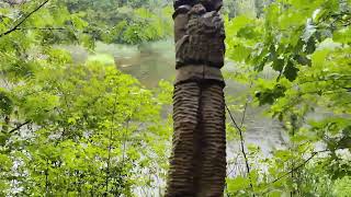 Walking in rainy forest.