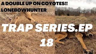 coyote trapping,(the new farm location again)