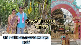 Sri Pari Hareswar Devalaya, Dubi Pathsala | Beautiful Garden of Keteki Phool ( Screw Pine ) in Assam