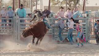 Cowboy Mardi Gras Bull Riding 2022