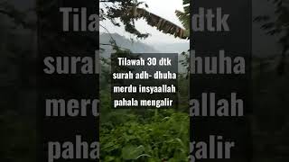 tilawah merdu surah ad- Dhuha insyaallah pahala mengalir #murrotalalquran #shortsviral#fypシ゚# merdu