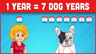 1 Human Year = 7 Dogs Years! And Other Dog Myths Explained