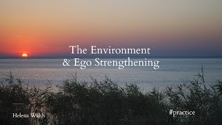 The Environment & Ego Strengthening: Navigating the Boundaries of Trust