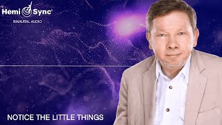 Eckhart Tolle Magyarul – Vedd észre a kis dolgokat is – Meditáció (Boldog Új Évet!)